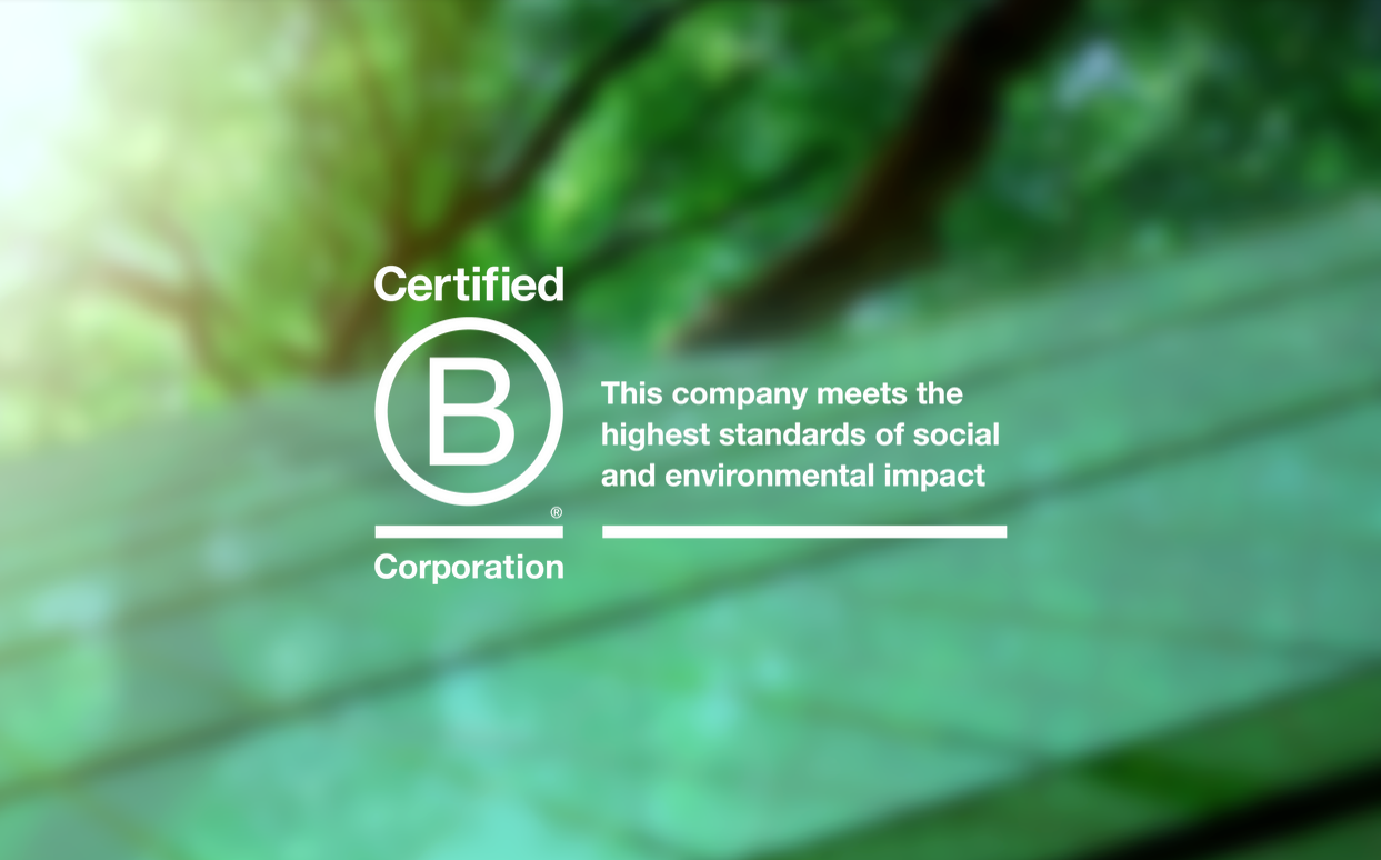 B corp logo on a green background of glass and leaves
