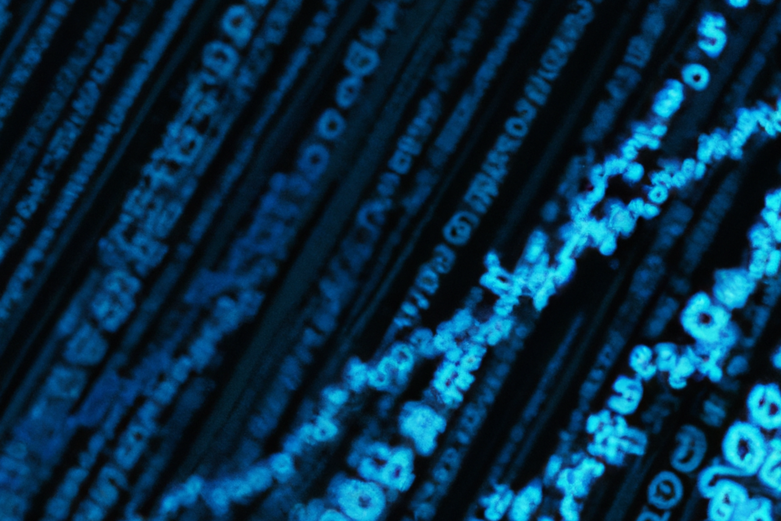 The Need for a DMC and the Operational Role of an Independent Data Analysis Center: Practical Insights for Sponsors 